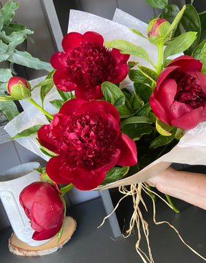Peony