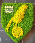 Norwich City Shield